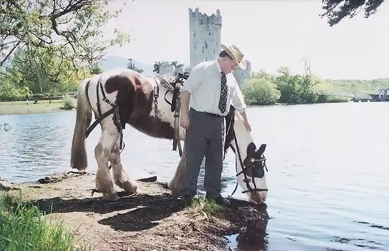 Killarney Lakeside Carriage Tours Jarvey (Seamus Fleming) with Ross Castle in Background