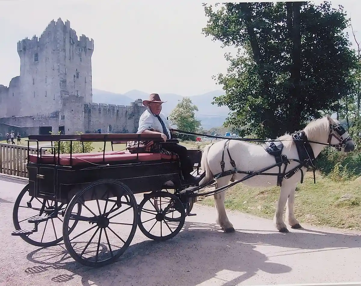 Killarney Lakeside Carriage Tours with Ross Castle in Background