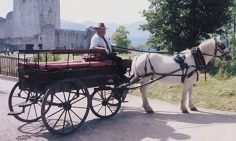 Seamus Fleming of Killarney Lakeside Carriage Tours Jarvey with Ross Castle in Background