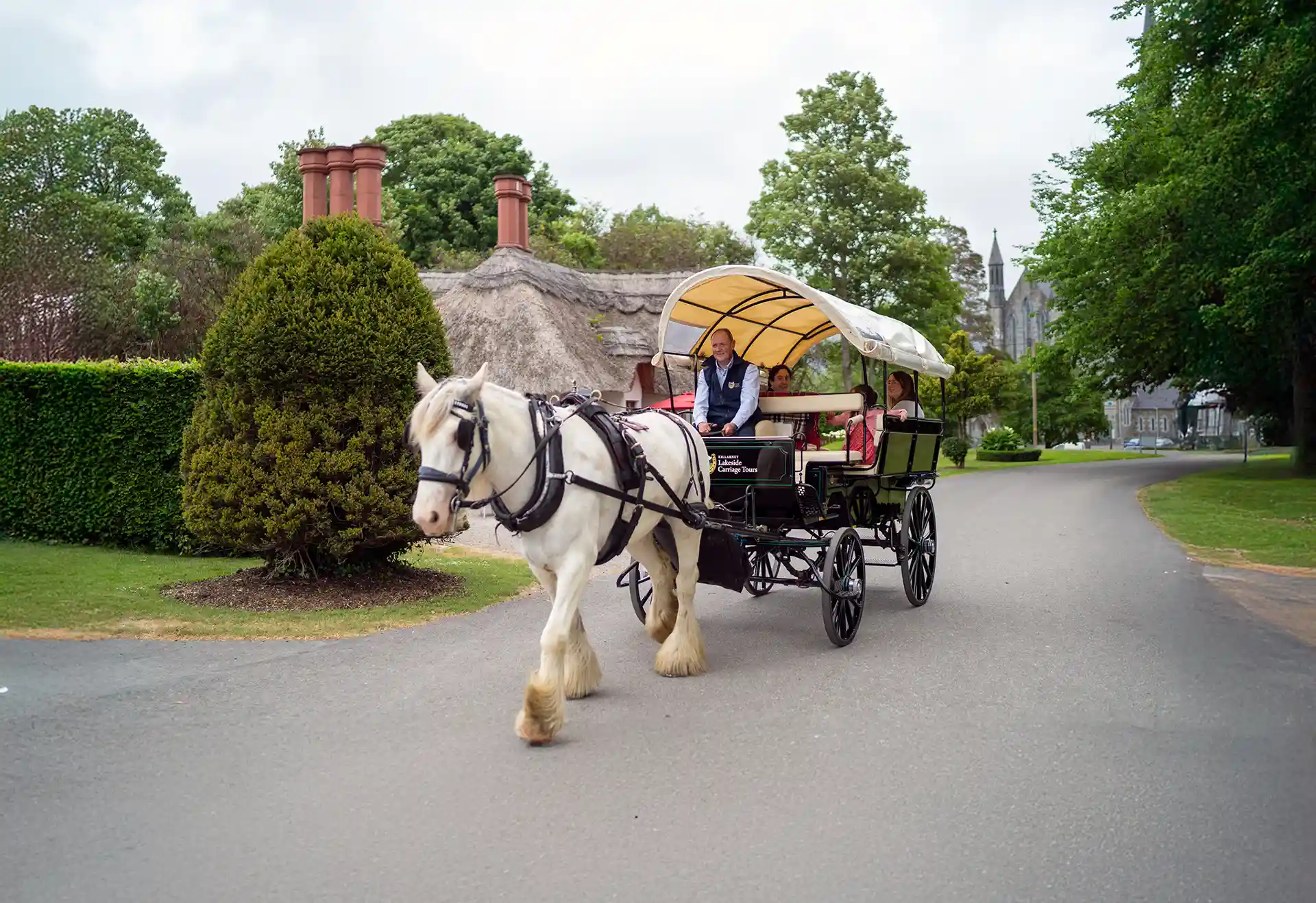 killarney national park horse carriage tour