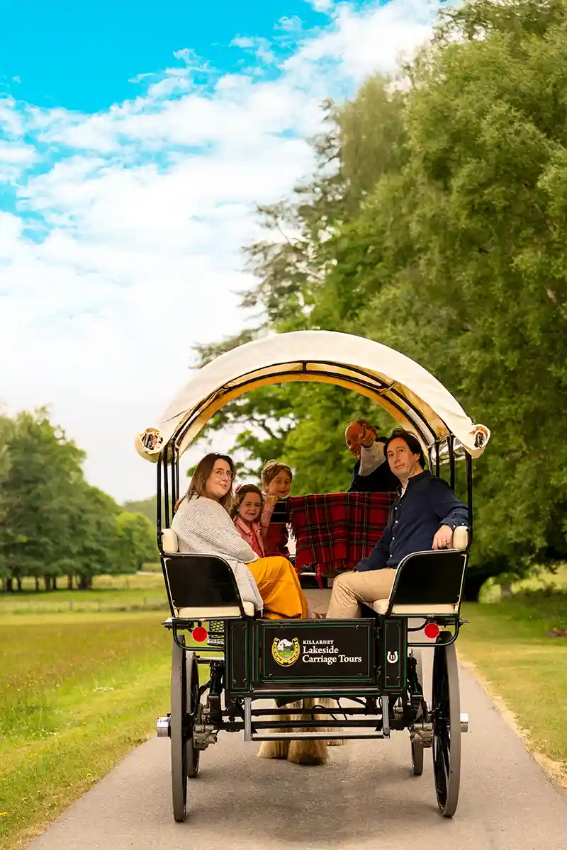 killarney national park horse carriage tour killarney national park horse carriage tour